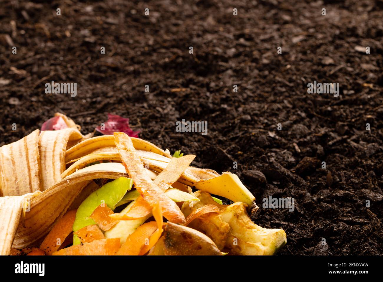 Organische Obst- und Gemüseabfälle zur Kompostierung auf dunklem Boden, mit Kopierraum Stockfoto