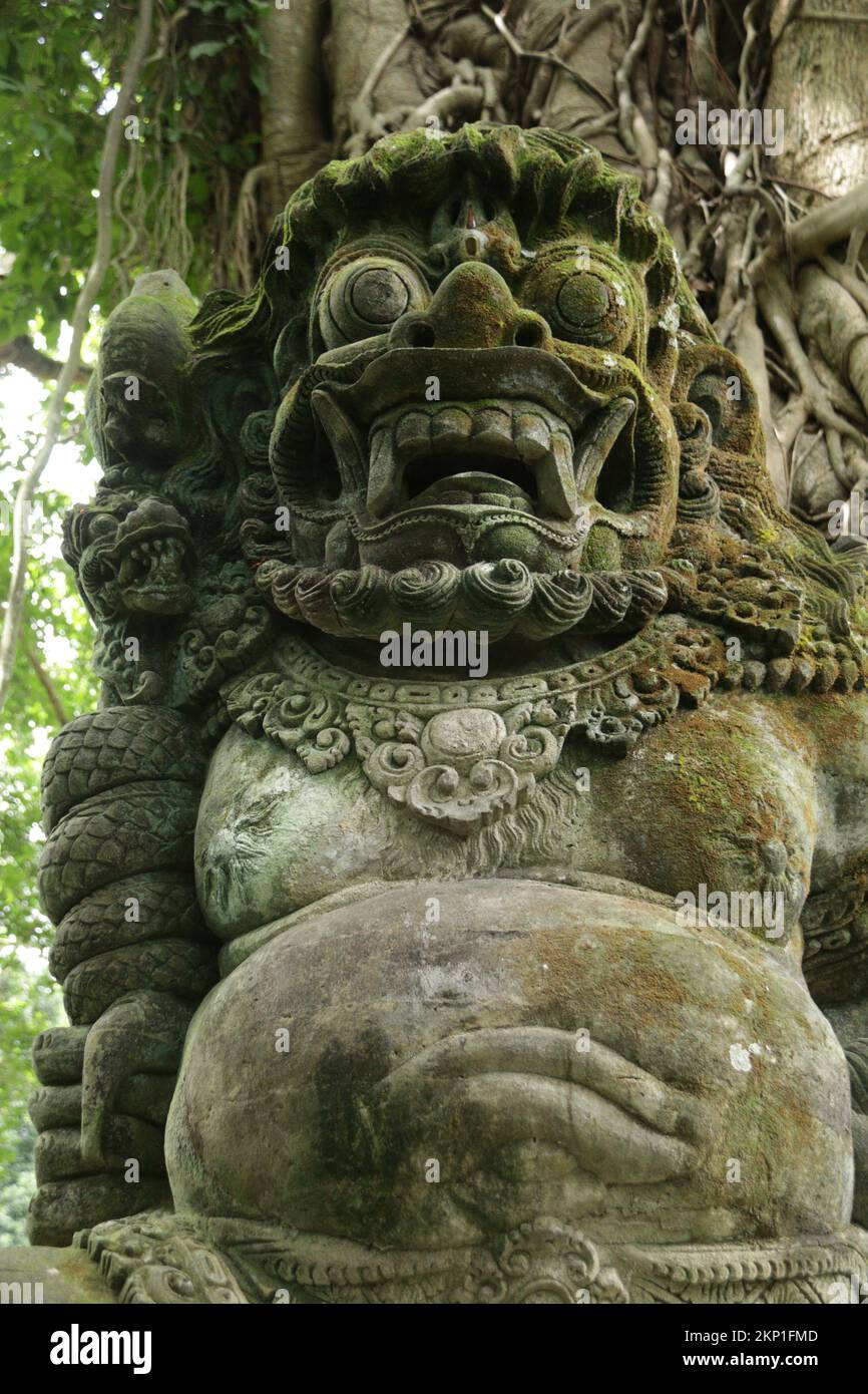 Das Heiligtum des Affenwaldes ist eines der beliebtesten Aktivitäten in Ubud, Bali. Stockfoto