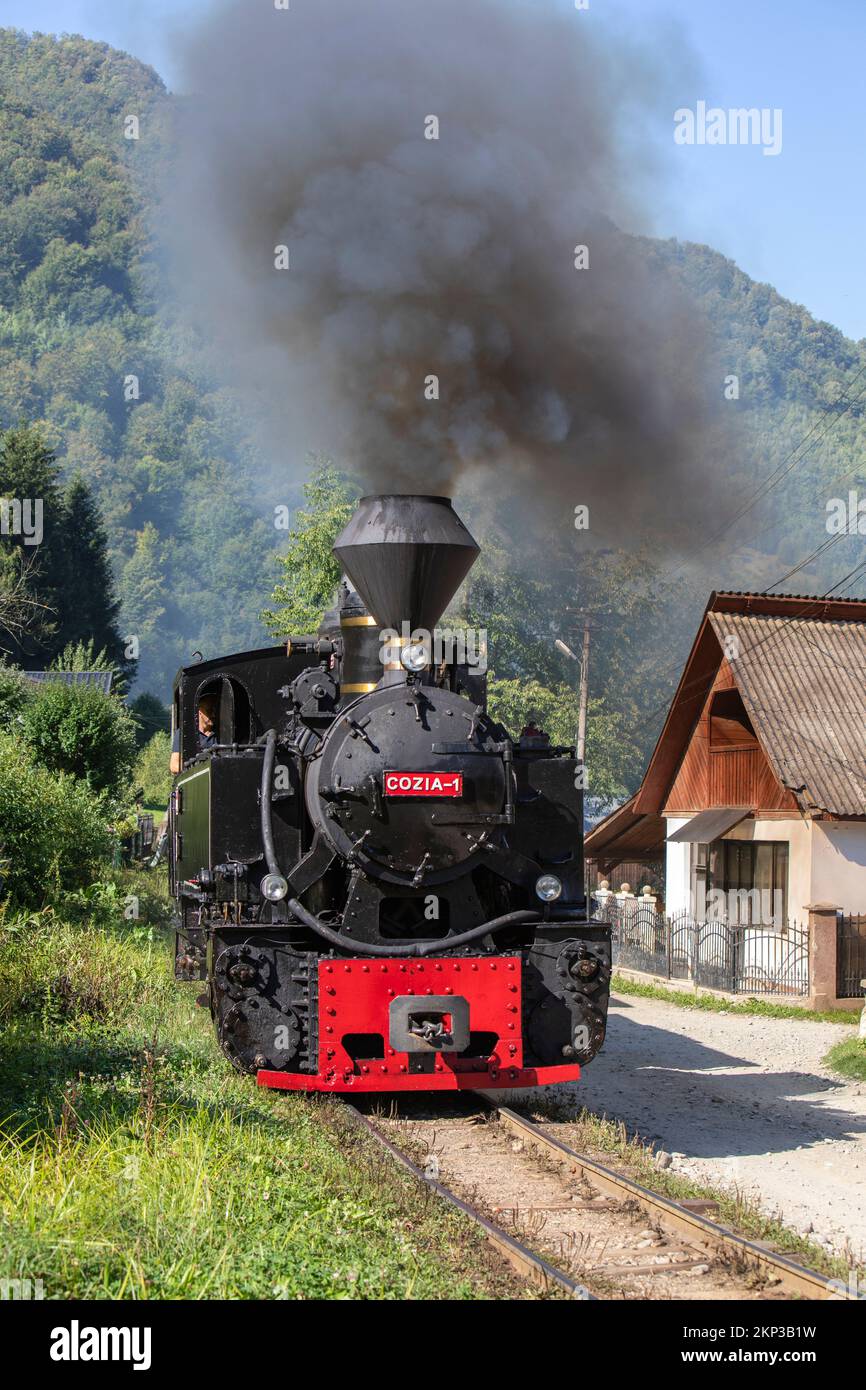 Mocanita Dampflokomotive von Viseu de Sus, Karpaten, Rumänien Stockfoto