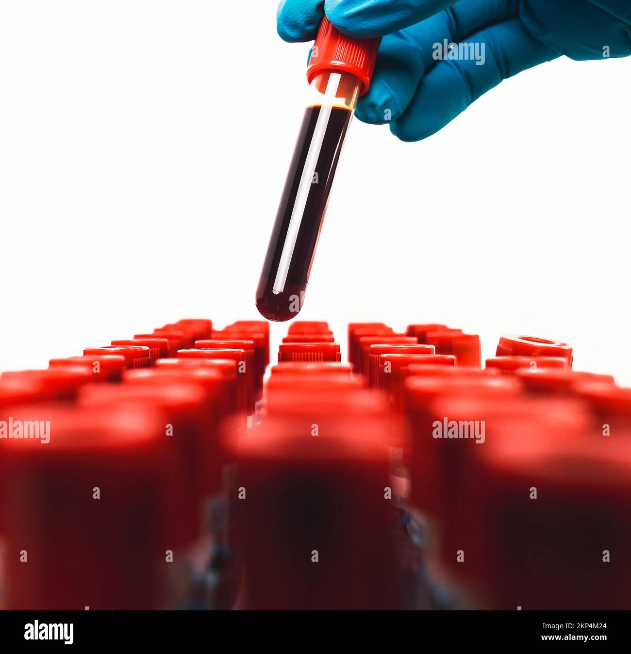 Ein Blutentnahmeröhrchen mit rotem Verschluss ist in der Hand eines blauhandschuhfarbenen Arztes, Objekt isoliert auf weißem Hintergrund, Hämatologie-Labor im Gesundheitswesen Stockfoto