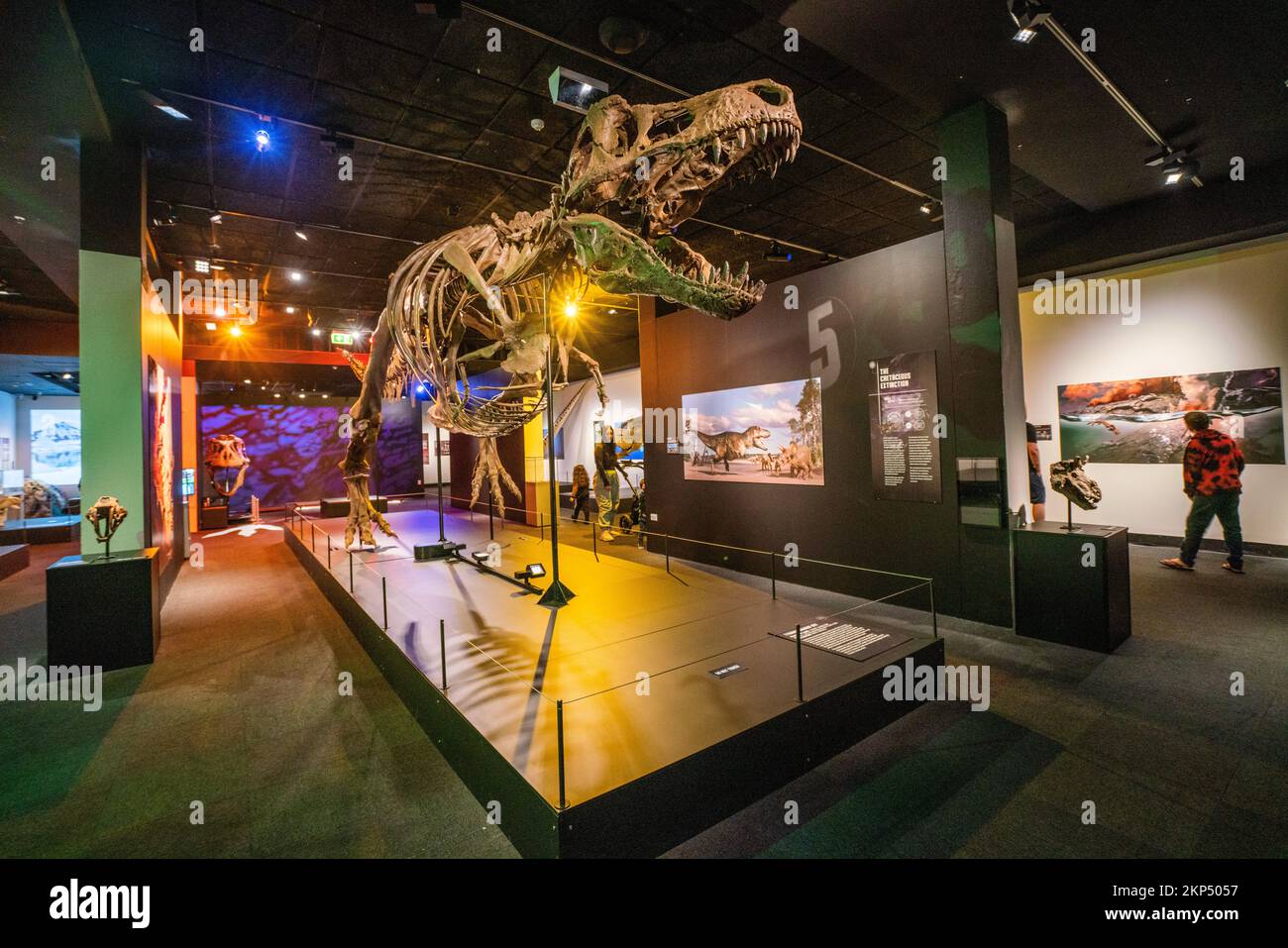 Adelaide, Australien. 28. November 2022 Eine Nachbildung des Tyrannosaurus Rex. Im South Australian Museum wird eine Ausstellung über sechs Aussterbe präsentiert, die die Geschichte der wichtigsten Dinosaurierräuber in jeder geologischen Periode durch die fünf großen Massenaussterbe auf der Erde verfolgt. Und betrachtet die aktuelle Aussterbungskrise, die sechste Ausrottung und was wir tun können, um Credit zu helfen: amer Ghazzal/Alamy Live News Stockfoto