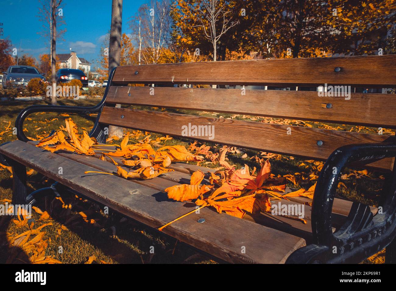 Universitätspark und Garten abseits der Stadt im Herbst Stockfoto