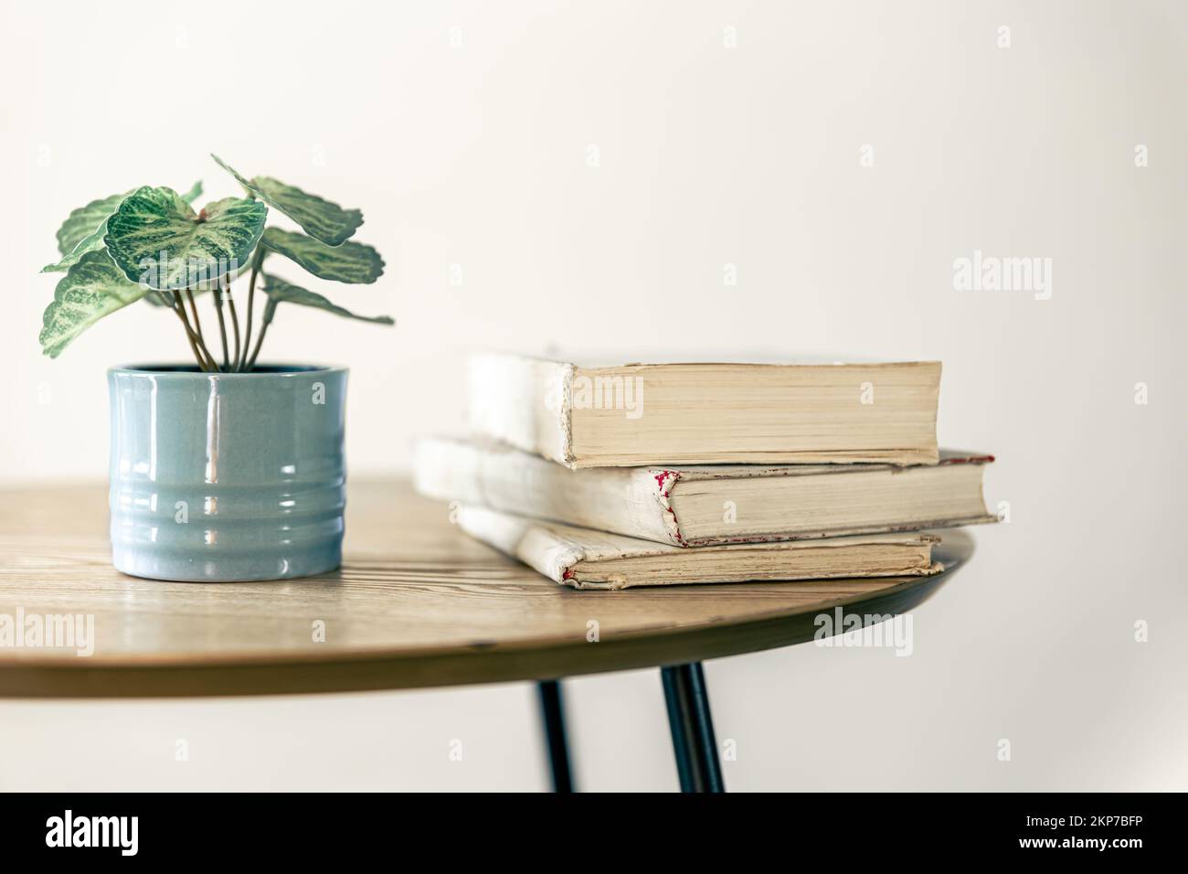 Ein Stapel Bücher und eine Zimmerpflanze in einem Topf auf verschwommenem Hintergrund. Stockfoto