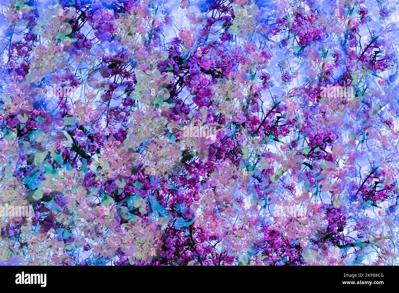 Blumen kreativ, künstlerischer Schuss, abstrakte Blumen, rosa und violette Blumen entfremdet, Pflanzen, impressionistischer Look, eine Mischung aus Blumen, überall. Duftend Stockfoto
