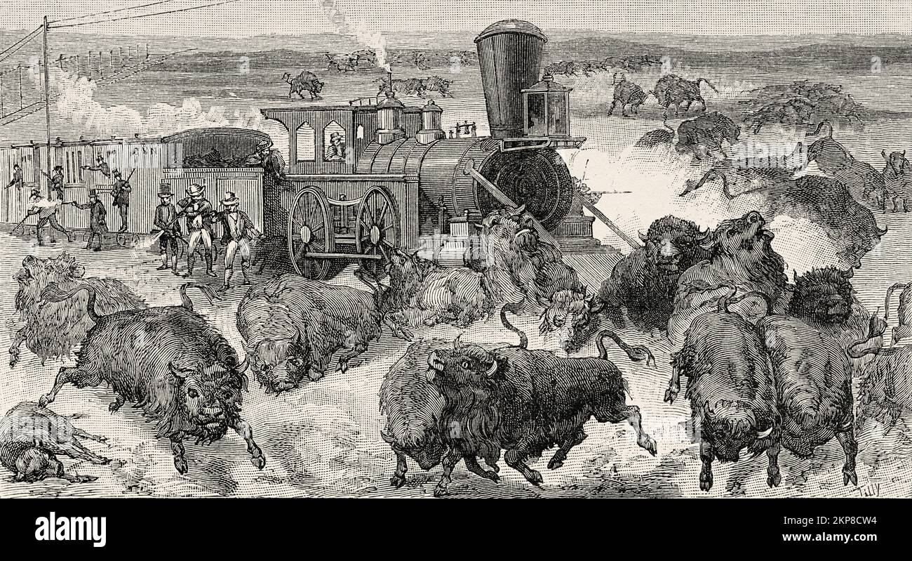 Buffalo Hunt auf der Kansas-Pacific Railroad in den USA, 1872, USA. Alte, gravierte Illustration aus dem 19.. Jahrhundert von La Nature 1890 Stockfoto