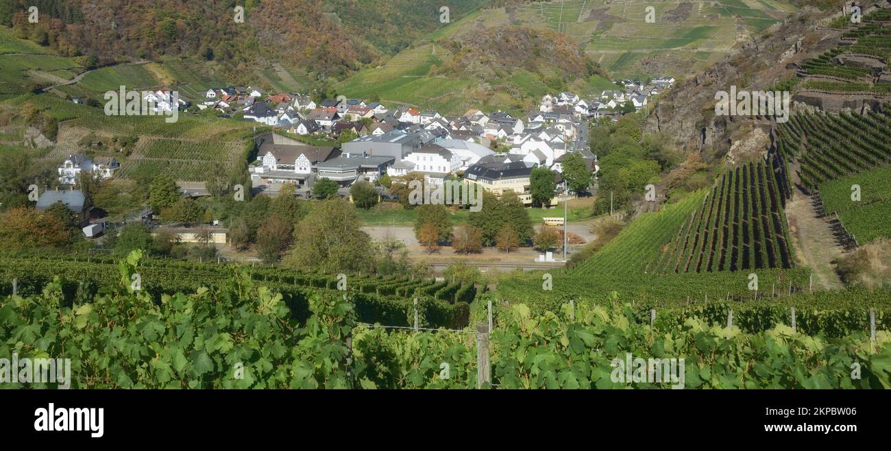 Weindorf Mayschoss vor der Flut 2021, Ahrtal, Rheinland-Pfalz, Deutschland Stockfoto