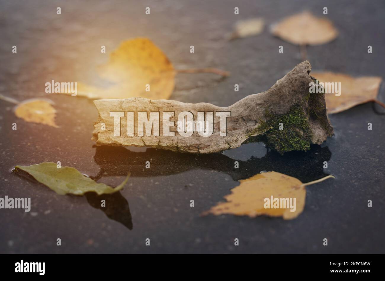 Ökologiekonzept. Auf dem Asphalt unter dem Laub, in einer Pfütze, gibt es einen Zweig, auf den es geschrieben ist - Zeitüberschreitung Stockfoto