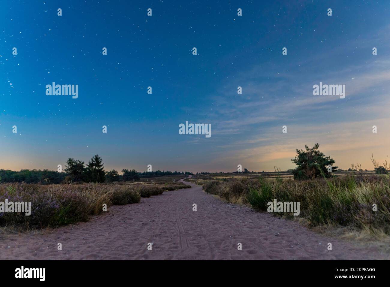 Ein wunderschöner Blick auf einen Wanderweg auf dem Feld am Abend mit frühen Sternen am Himmel Stockfoto