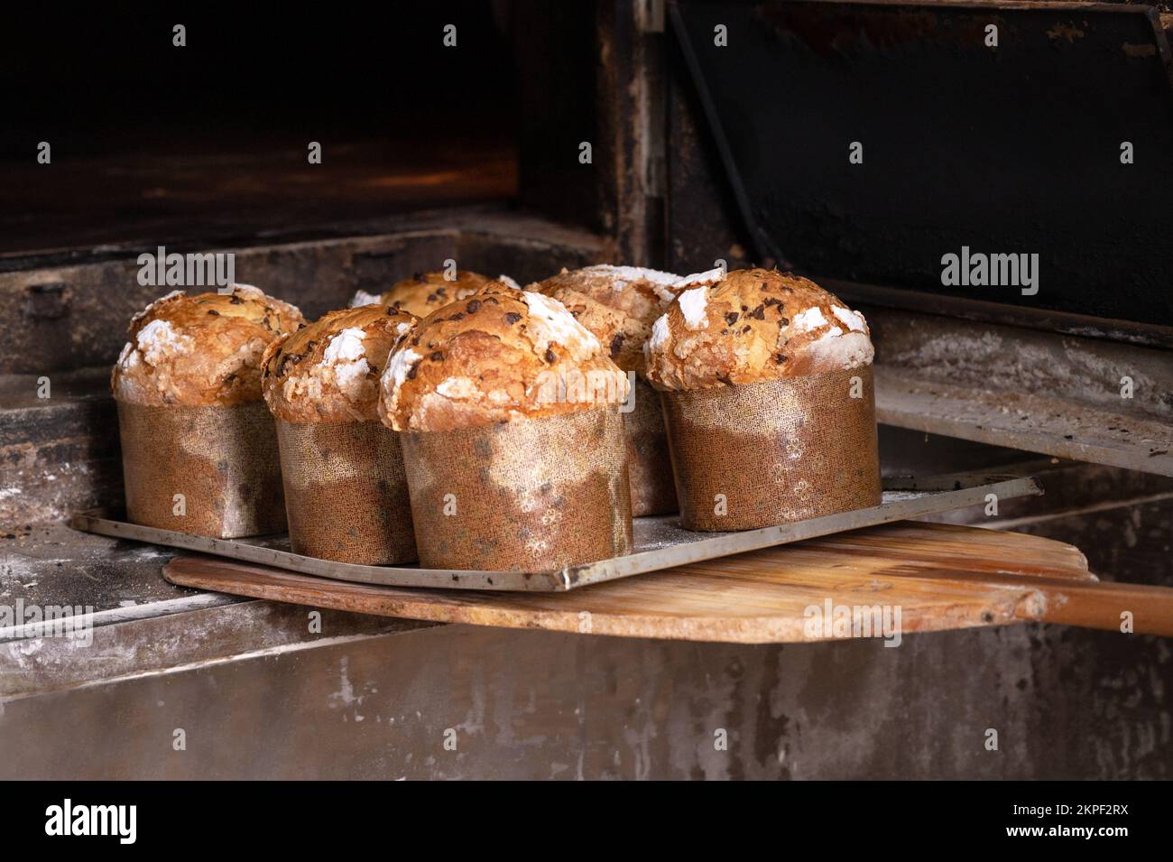 Baker holt gebackenen Panettone aus dem Ofen. Hochwertige Fotografie. Stockfoto