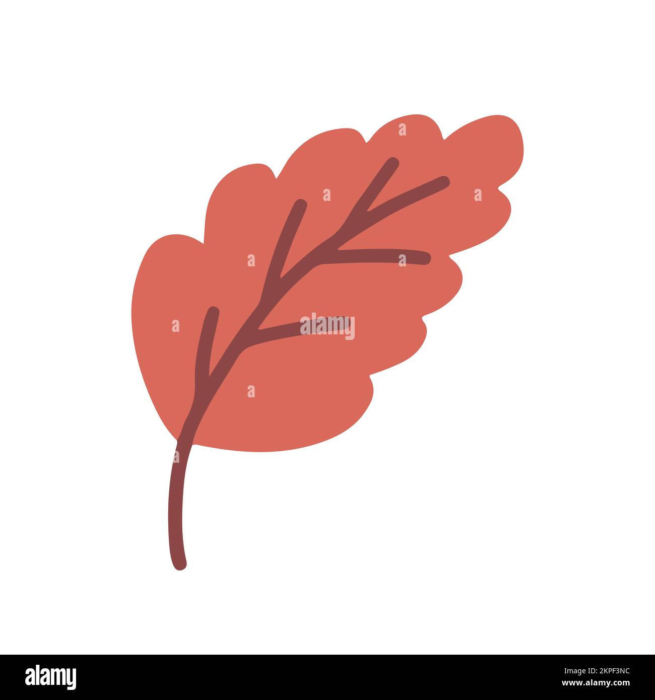 Vektor Herbstblatt isoliert Stock Vektor