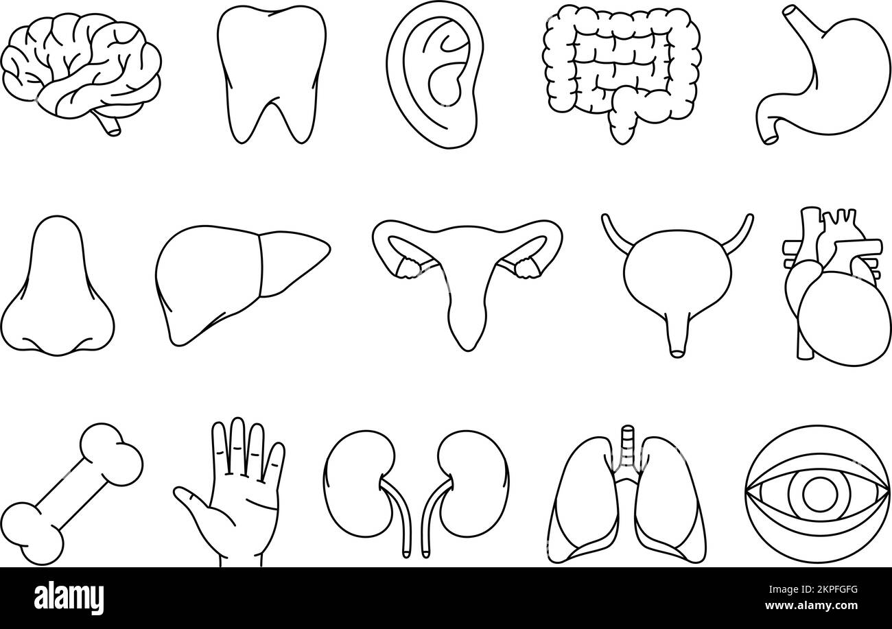 Menschliche Organe Umriss Set. Gehirn, Zahn, Ohr, Darm, Magen, Nase, Leber, Fortpflanzungssystem, Blase, Herz, Knochen, Nieren, Lungen, Augapfel-Symbol Stock Vektor