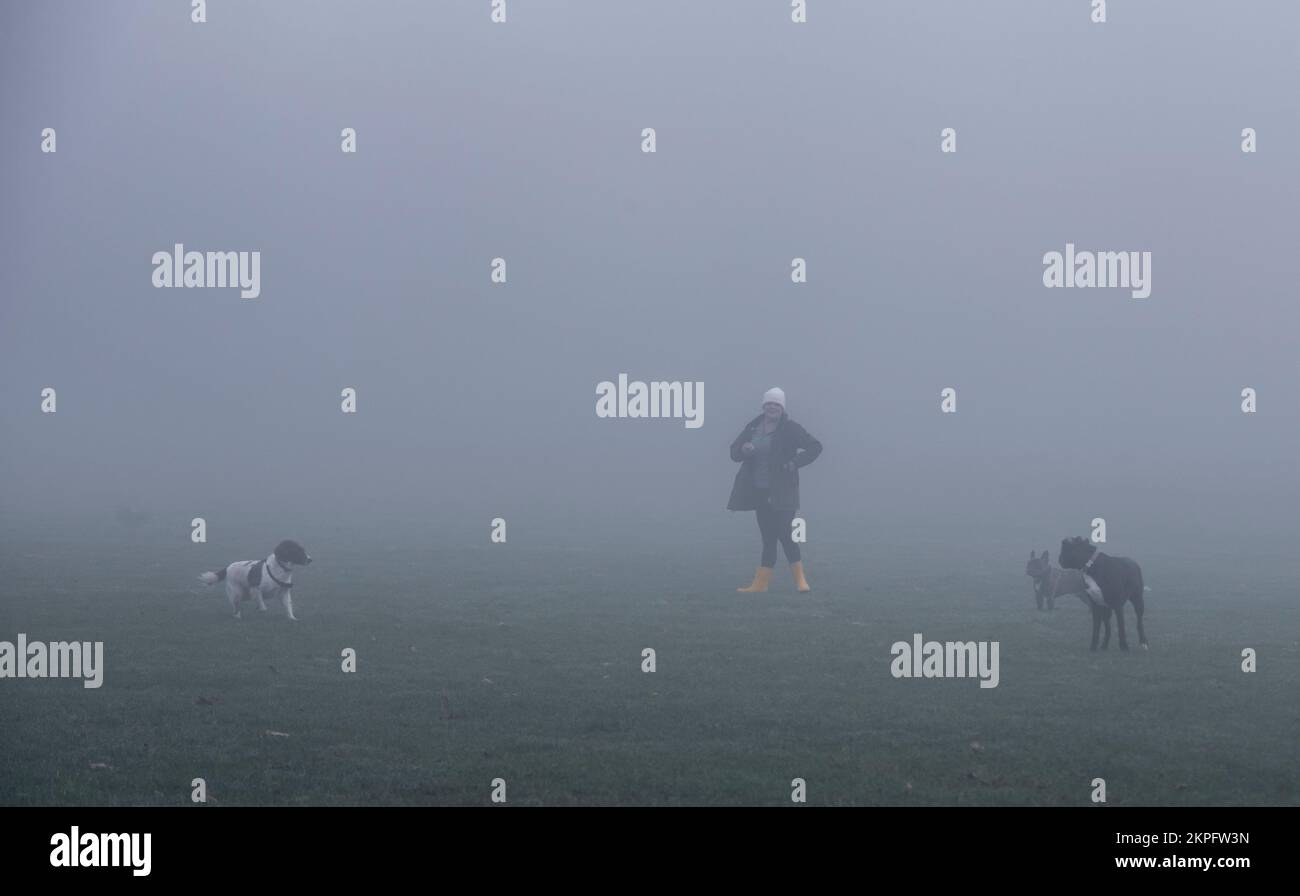 Harrogate, Großbritannien. 28.. November 2022. Eine unheimliche Landschaft wurde heute Morgen durch den Nebel auf der Stray im Stadtzentrum geschaffen. Eine Dame mit gelben Stiefeln spielt mit ihren Hunden. Bildnachweis: ernesto rogata/Alamy Live News Stockfoto