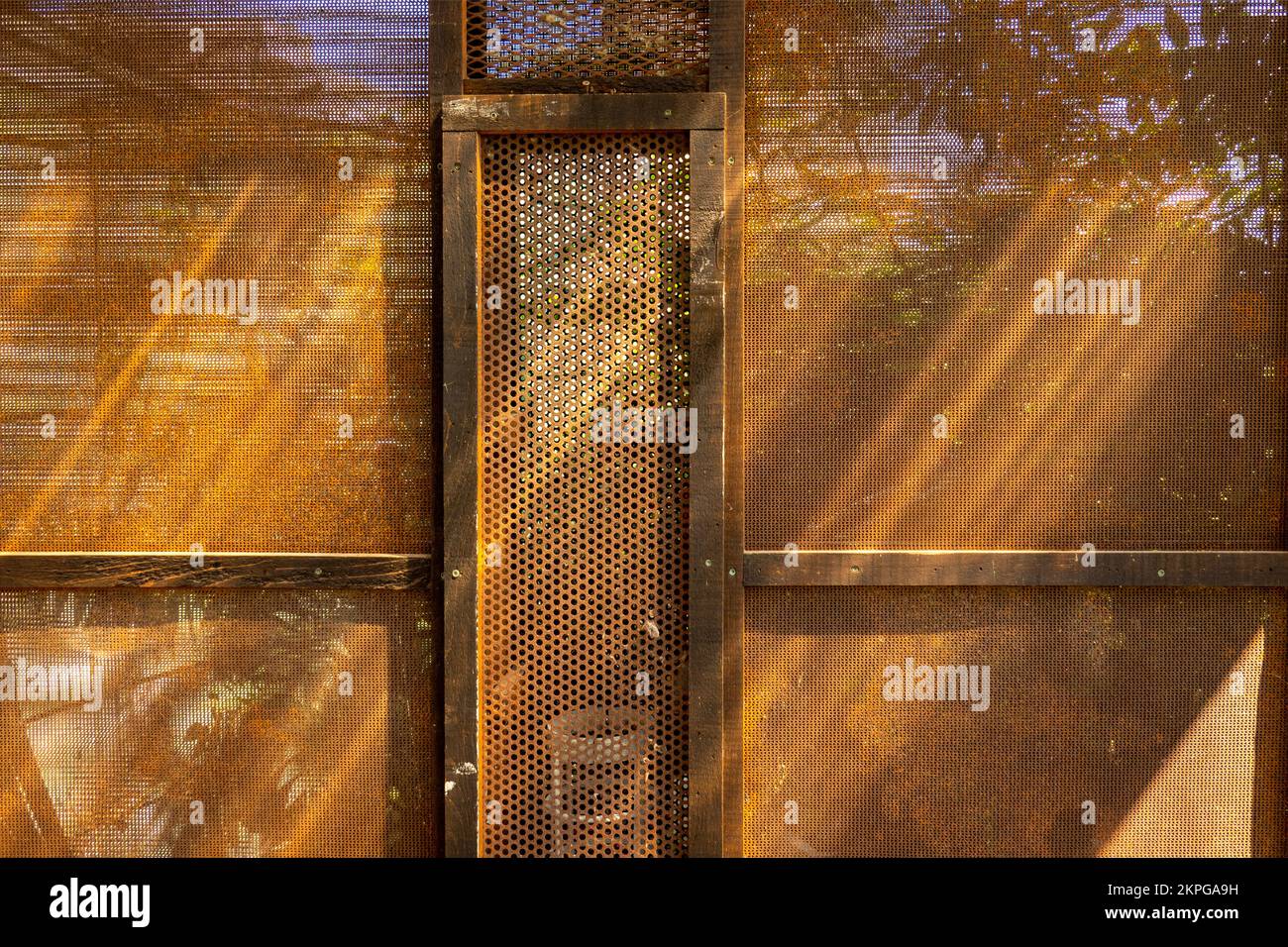 Abstrakte Leinwand mit Morgenlicht, das durch einen Hof in Buffalo NY gefiltert wird Stockfoto
