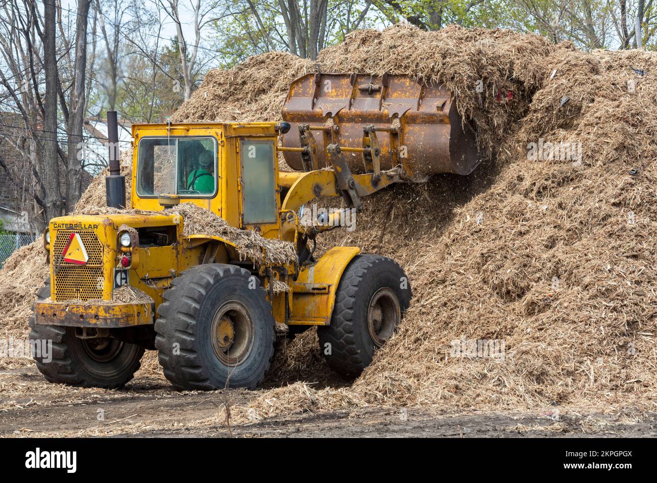 Detroit, Michigan – mit schweren Geräten räumen Arbeiter Bäume, zerkleinern sie in Holzschnitzel, von einer verlassenen Eisenbahnstrecke aus. Sie sind sauber Stockfoto