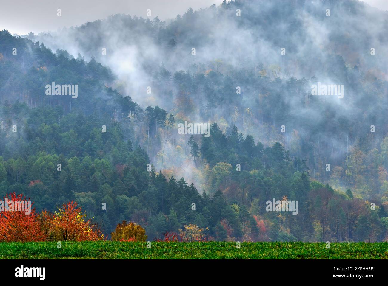 Im Herbst neblige Landschaft mit Nadelwäldern. Früher bewölkter Morgen. Die Natur europas. Natürlicher Hintergrund. Vrsatec, Slowakei. Stockfoto