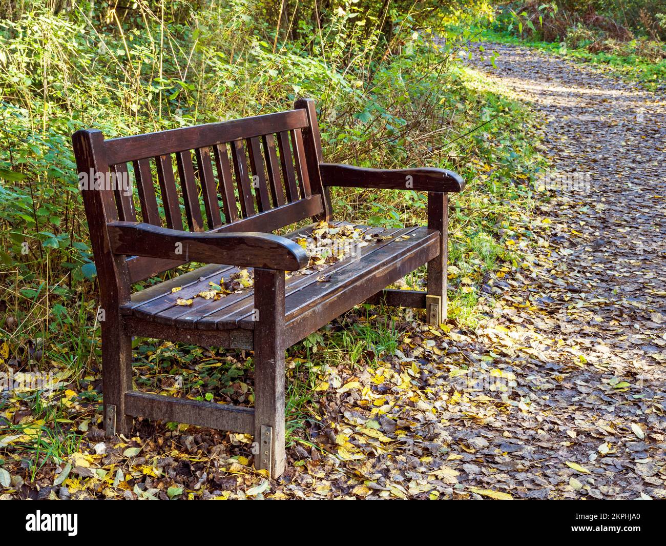 Holzbank in einem Park, bedeckt mit herbstlichen Blättern Stockfoto