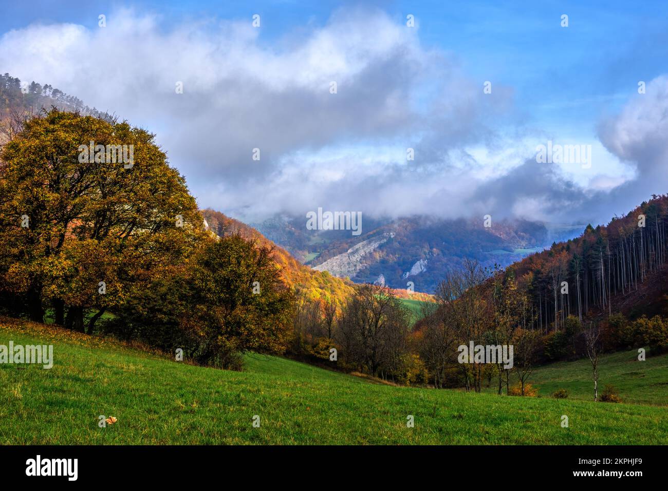 Neblige Herbstlandschaft mit Wald und Felsen. Blauer Himmel mit wunderschönen weißen Wolken. Blick auf das Tal. Vrsatec, Slowakei. Stockfoto
