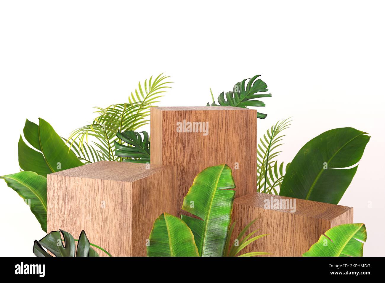 Luxuriöse Holzkiste, Bausteine, quadratischer Podiumwürfel, grüne tropische Blätter auf weißem Hintergrund. Modell für Produkt, Parfüm, Sonderangebot Stockfoto