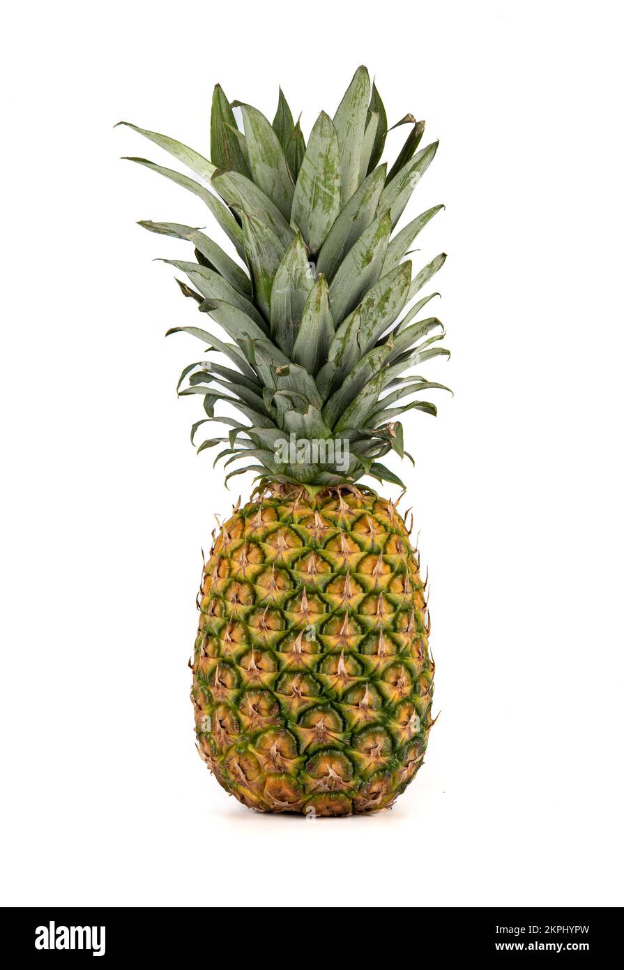 Die ganze reife Ananas steht aufrecht auf weißem Hintergrund. Speicherplatz kopieren. Stockfoto