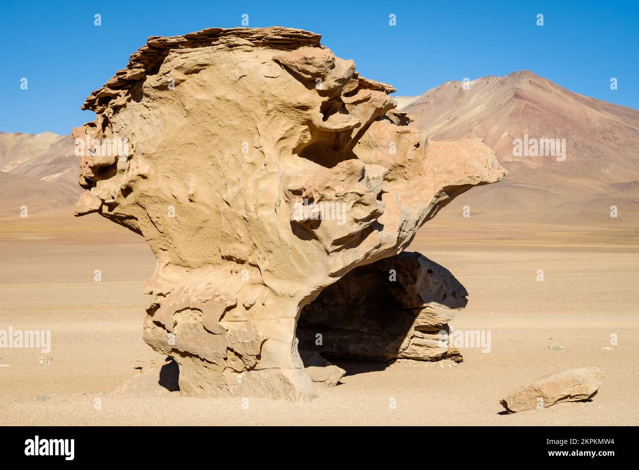 Árbol de Piedra oder Rock Tree in Altiplano oder High Plains, Provinz Sud Lipez, Potosi-Departement, Bolivien Stockfoto