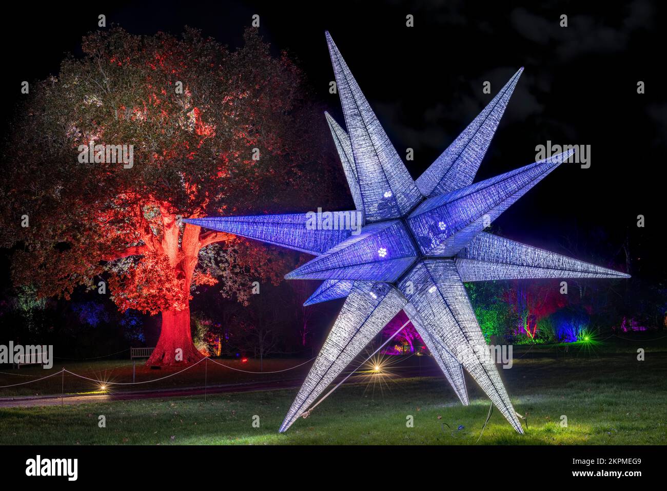 RHS Rosemoor Glow Illuminations. Die herrlichen Bäume, Sträucher, Wasserfiguren und Skulpturen von Rosemoor, die von einem spektakulären, sich verändernden Licht erleuchtet werden Stockfoto