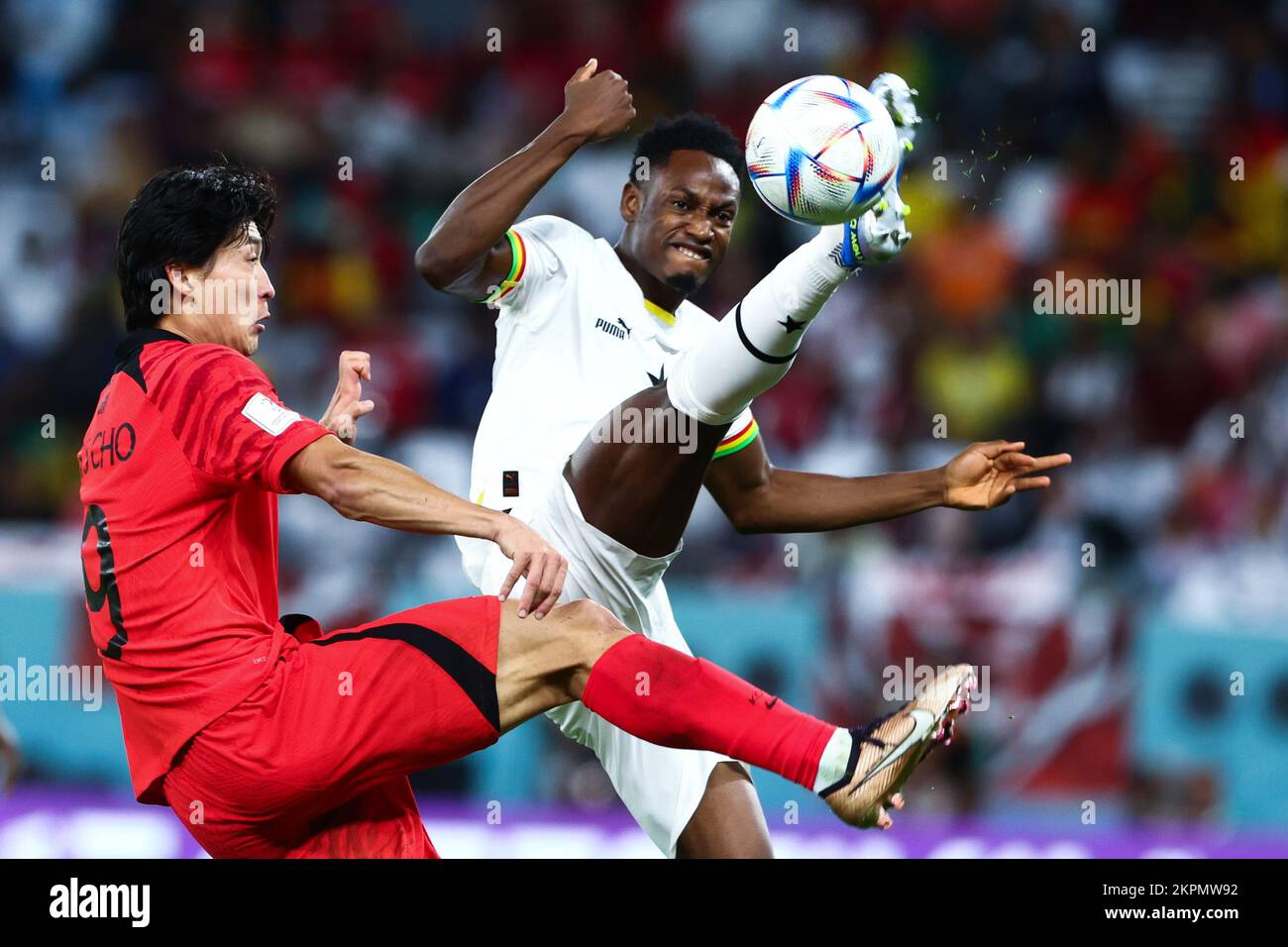 28.11.2022, Doha , Fußball, FIFA-Weltmeisterschaft 2022, Republik Korea gegen Ghana , im Bild: Guesung Cho (KOR), Abdul Manaf Baba (GHA), Foto: Andrzej Iwanczuk Stockfoto