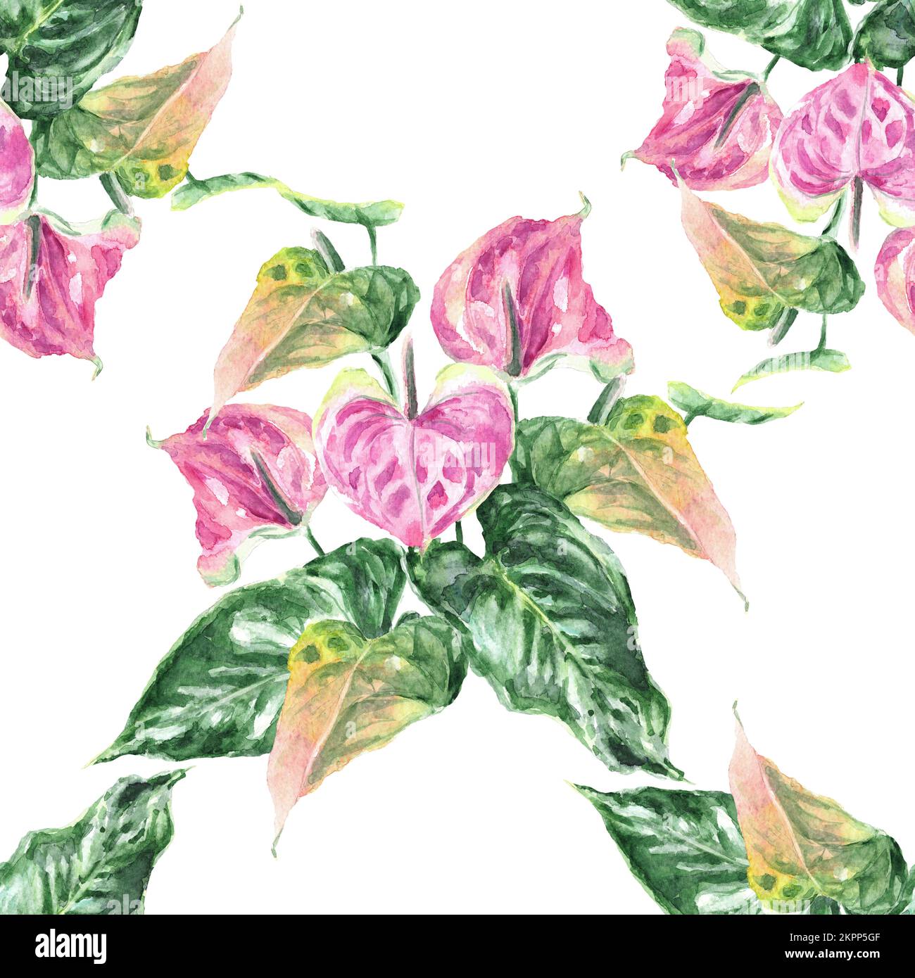 Nahtloses Muster mit Blättern und Anthuriumblumen (Flamingo Flower). Von Hand gezeichnete Aquarelle realistische Illustration auf weißem Hintergrund. Stockfoto