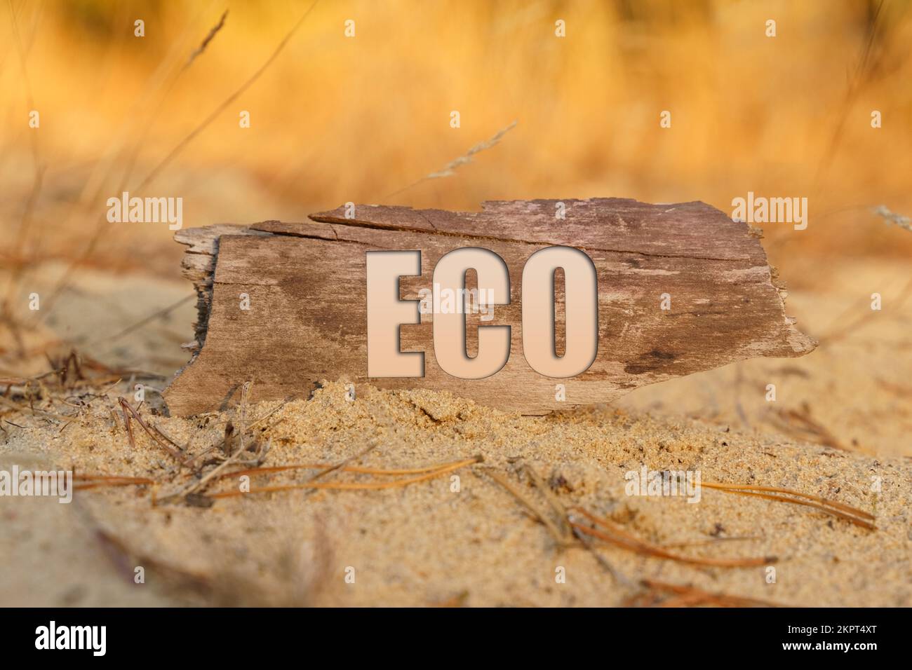 Das Konzept ist natürlich und industriell. Auf dem Sand vor gelbem Grashintergrund ein Schild mit der Aufschrift ECO Stockfoto