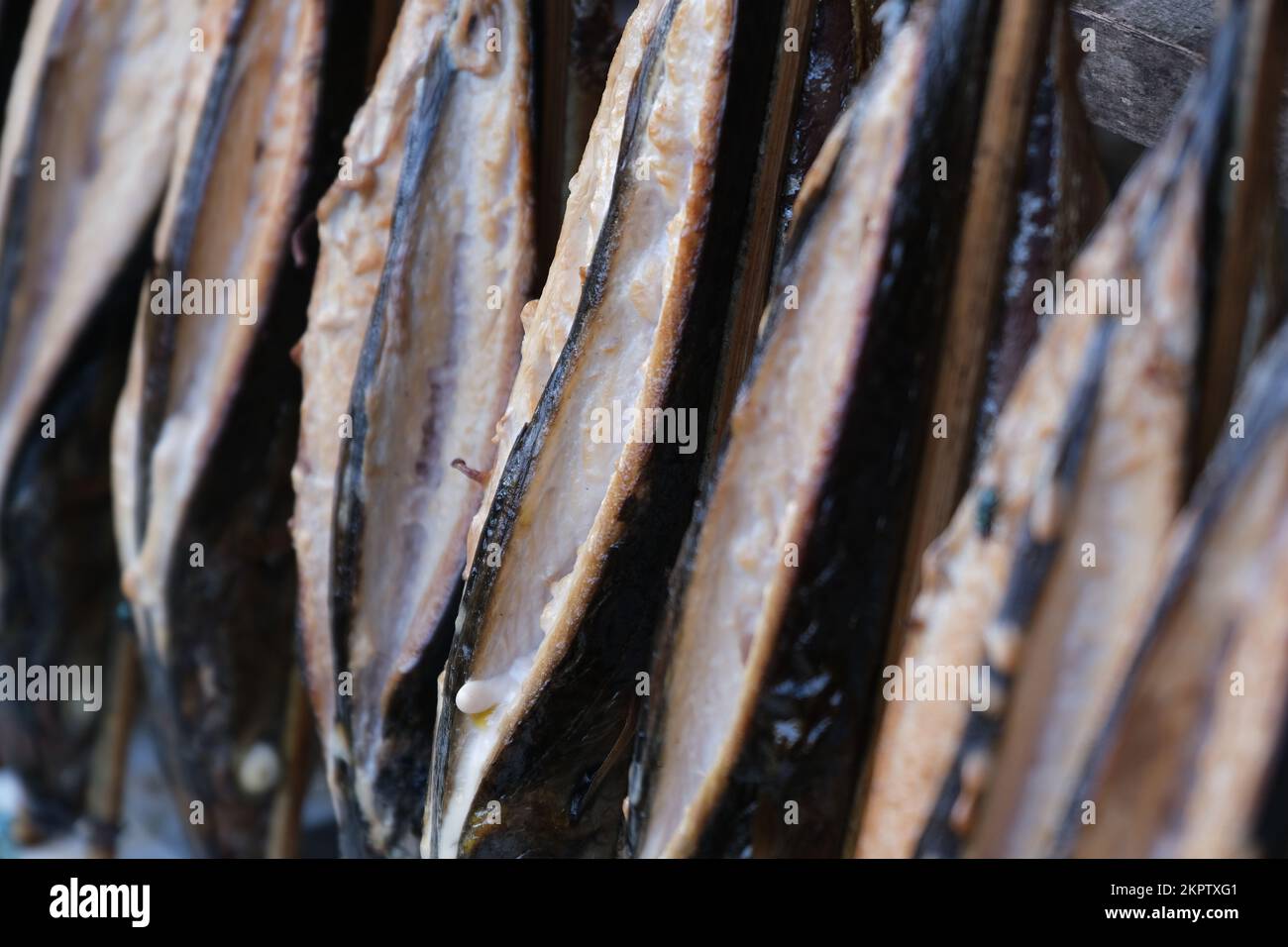 Nahaufnahme einer Reihe geräucherter Fische auf einem Trockenständer in Indonesien Stockfoto