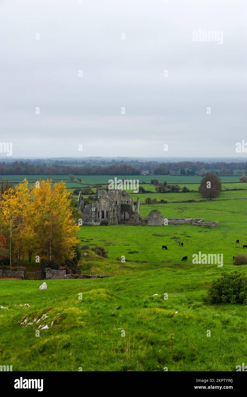 Ruinen von Hore Abbey in Cashel in Co. tipperary, Irland Stockfoto