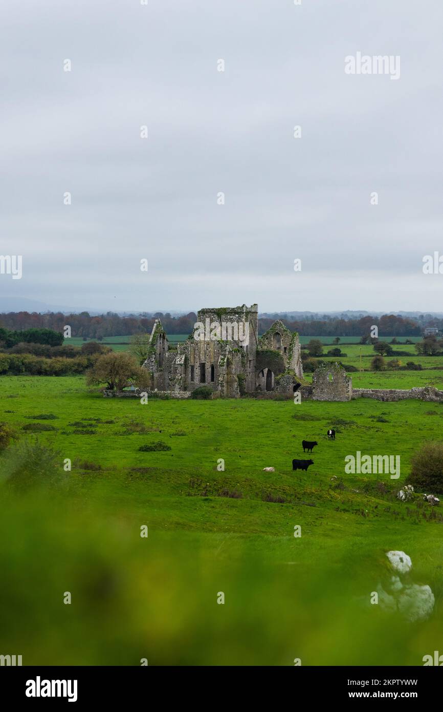 Ruinen von Hore Abbey in Cashel in Co. tipperary, Irland Stockfoto