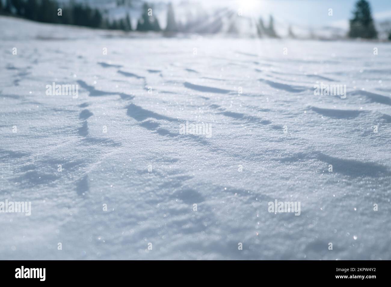 Schneetextur. Hintergrund der frischen Schneetextur. Winterhintergrund mit einem Haufen Schnee und unscharfen Landschaften. Bild herunterladen Stockfoto
