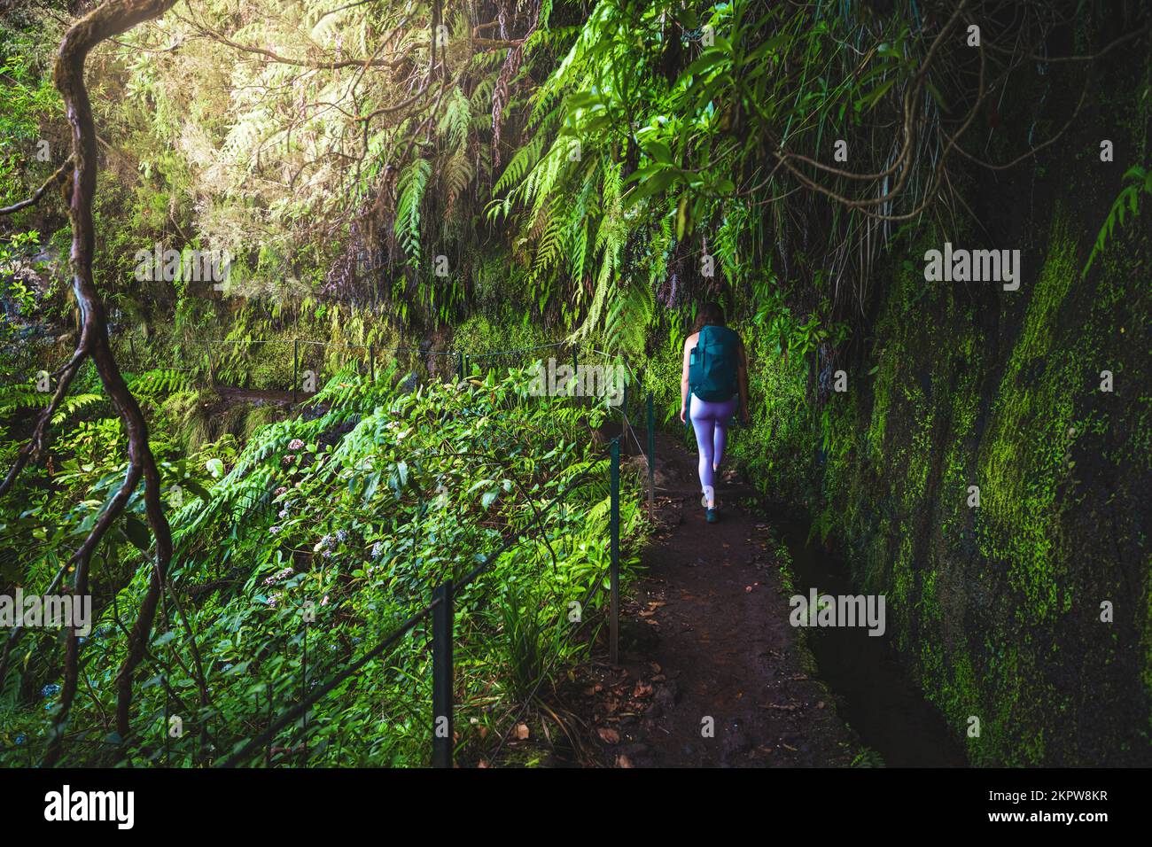 Beschreibung: Sportliche Frau mit Rucksackspaziergängen auf abenteuerlichem grünen Dschungelpfad entlang des Wasserkanals. Levada von Caldeirão Verde, Insel Madeira, Portuga Stockfoto