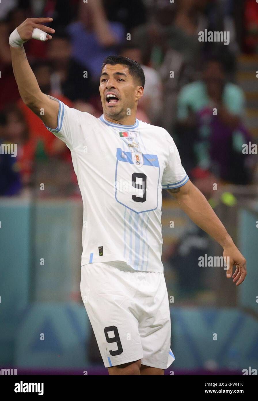 Lusail, Katar. 28.. November 2022. Uruguay Luis Suarez Gesten während eines Fußballspiels zwischen Portugal und Uruguay, in Gruppe H der FIFA-Weltmeisterschaft 2022 im Lusail Stadium, in Lusail, Bundesstaat Katar, am Montag, den 28. November 2022. BELGA PHOTO VIRGINIE LEFOUR Kredit: Belga News Agency/Alamy Live News Stockfoto