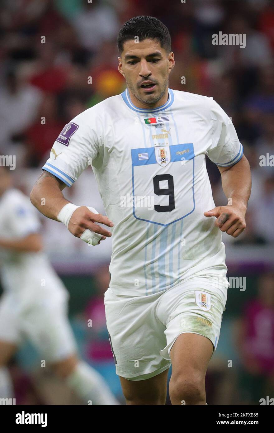 Lusail, Katar. 28.. November 2022. Luis Suarez aus Uruguay wurde bei einem Fußballspiel zwischen Portugal und Uruguay in der Gruppe H der FIFA-Weltmeisterschaft 2022 im Lusail Stadium am Montag, den 28. November 2022, in Lusail, Bundesstaat Katar, in Aktion gezeigt. BELGA PHOTO VIRGINIE LEFOUR Kredit: Belga News Agency/Alamy Live News Stockfoto
