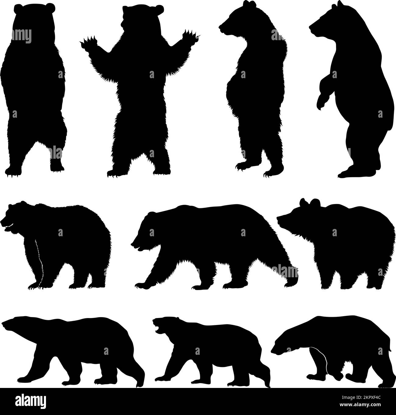 Vektor-Silhouettenbär, verschiedene Bärensilhouetten auf weißem Hintergrund, Brauner Grizzlybär und Eisbär-Silhouettenset Stock Vektor