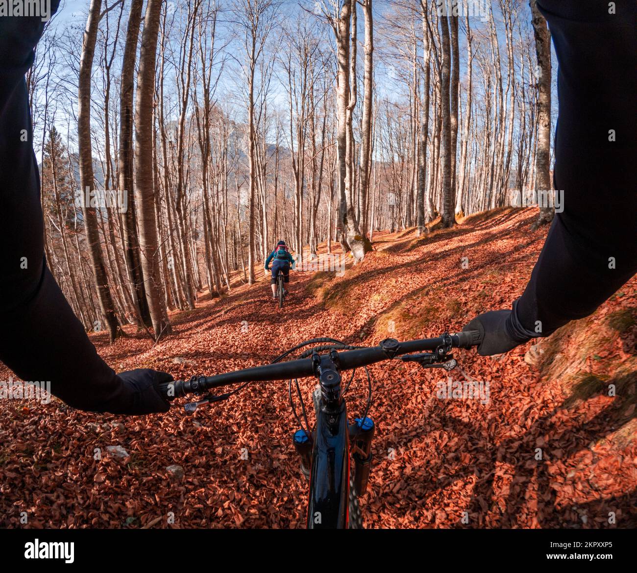 Persönliche Perspektive einer Person, die den Lenker eines Fahrrads hält, und einer Mountainbikerin, die im Herbstlaub in Italien vor sich fährt Stockfoto