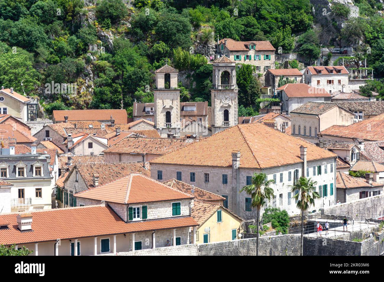 Kathedrale von St. Tryphon (Katedrala Svetog Tripuna) und Altstadt, Kotor, Dalmatien, Montenegro Stockfoto