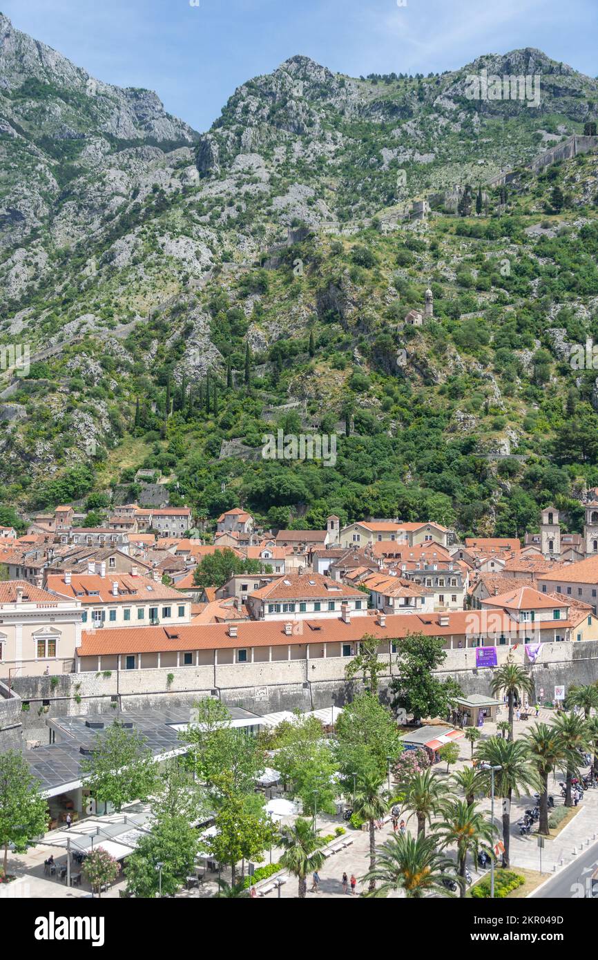 Blick aus der Vogelperspektive auf die Altstadt und die Berge, Kotor, Dalmatien, Montenegro Stockfoto