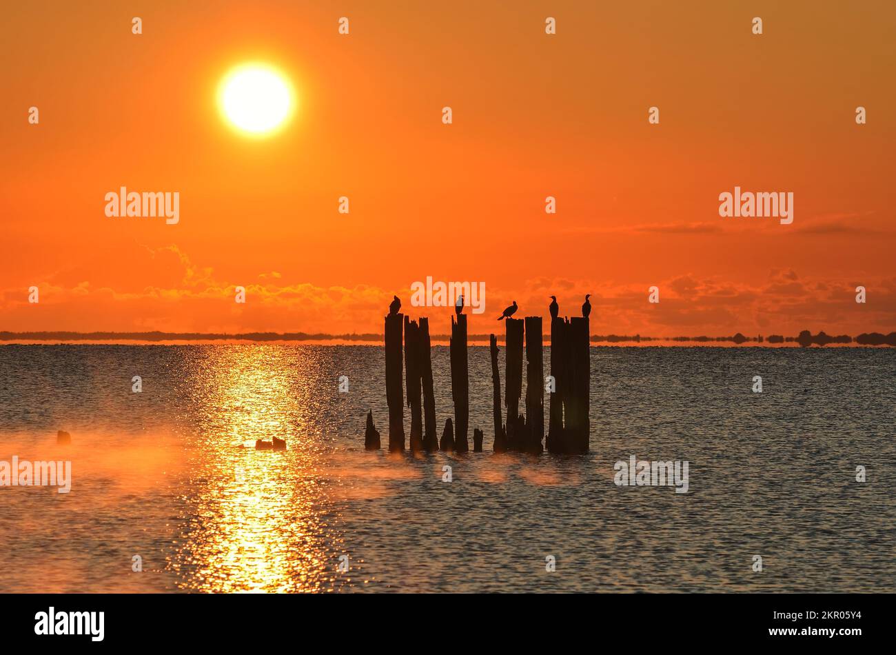 Wunderschöner Blick auf das Meer am Abend. Holzballen an der polnischen Küste mit der Abendsonne im Hintergrund. Stockfoto