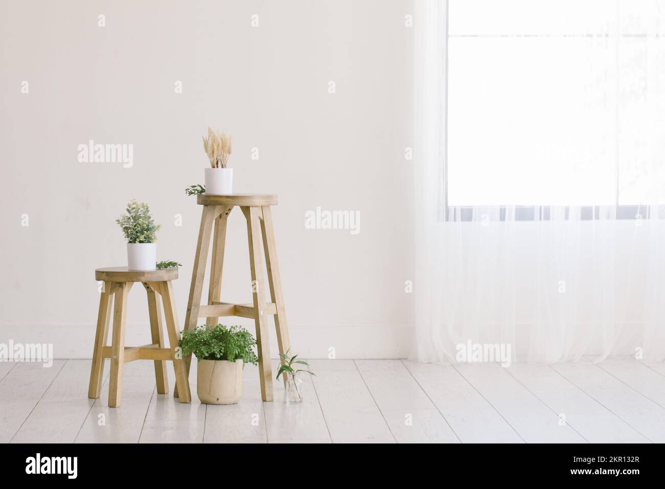 Minimales Haus mit Holzhockern umgeben von Zimmerpflanzen Stockfoto