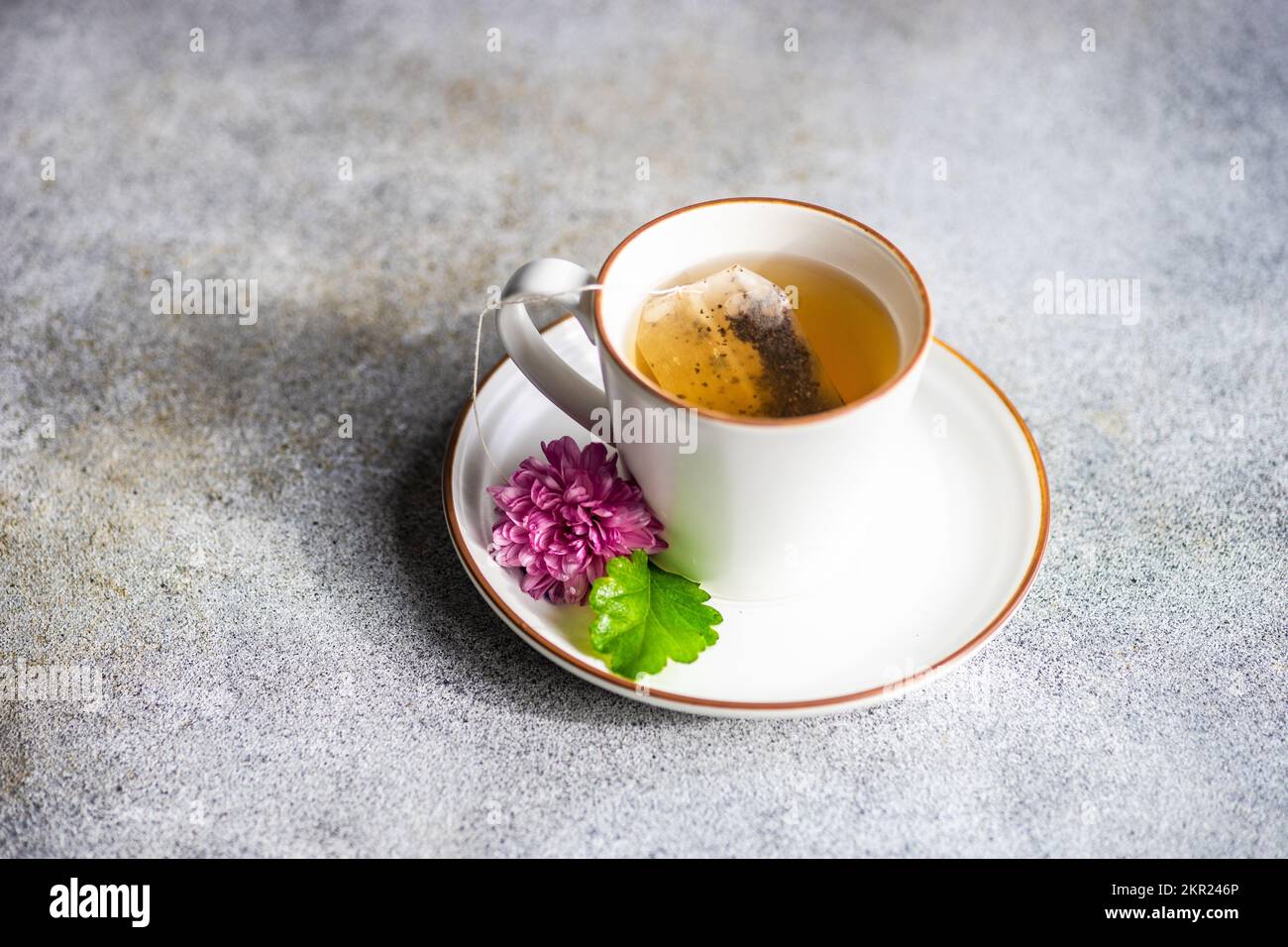 Eine Tasse Tee mit Teebeutel und einer lila Chrysanthemen-Blume auf der Untertasse Stockfoto
