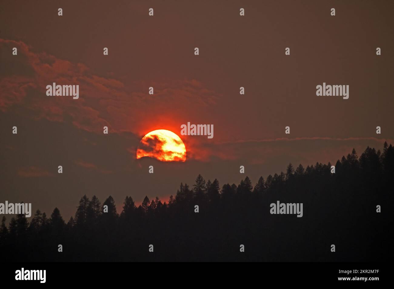 Sonnenuntergang während der Feuersaison im Westen der USA. Kootenai NF in den Purcell Mountains, nordwestlich von Montana. (Foto: Randy Beacham) Stockfoto