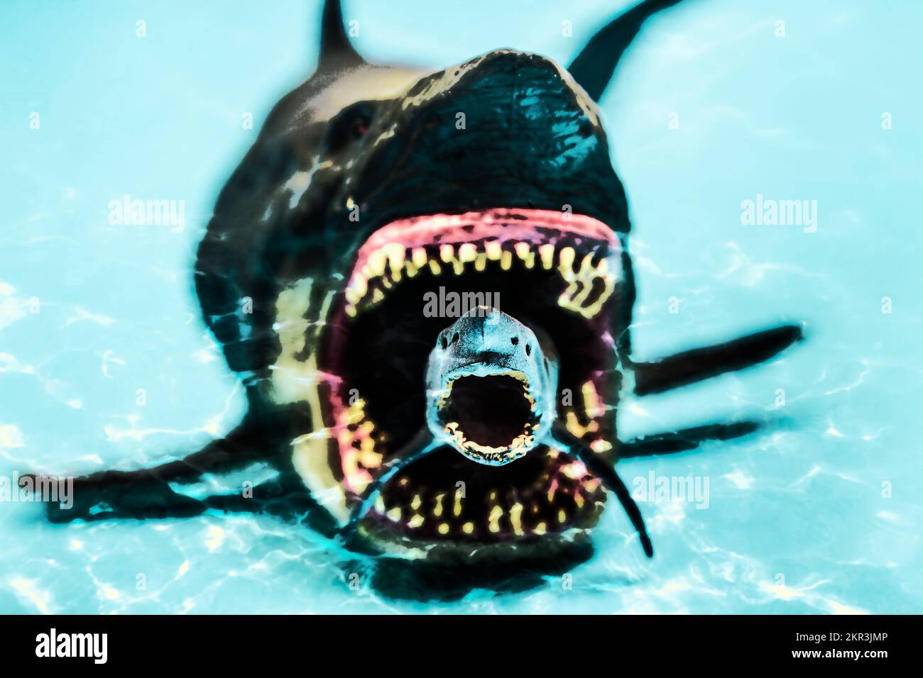 Terror auf niedriger See mit blauem Wasserkiefer Gemetzel in einem Hai vs Hai Angriff.... und Hai gewann Stockfoto