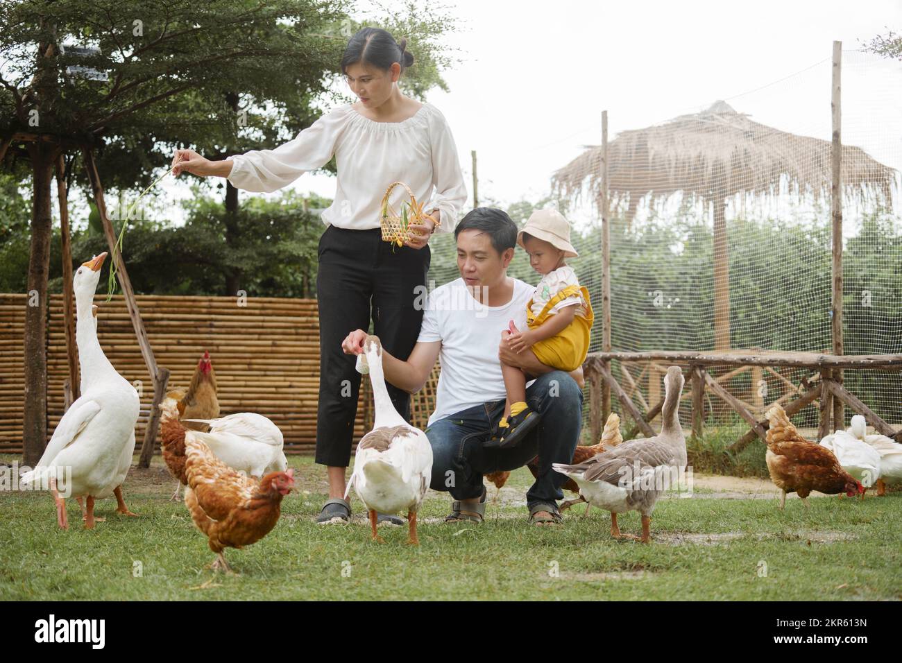 Glückliche Familie Vater, Mutter und Sohn füttern Ente auf dem Bauernhof. Stockfoto