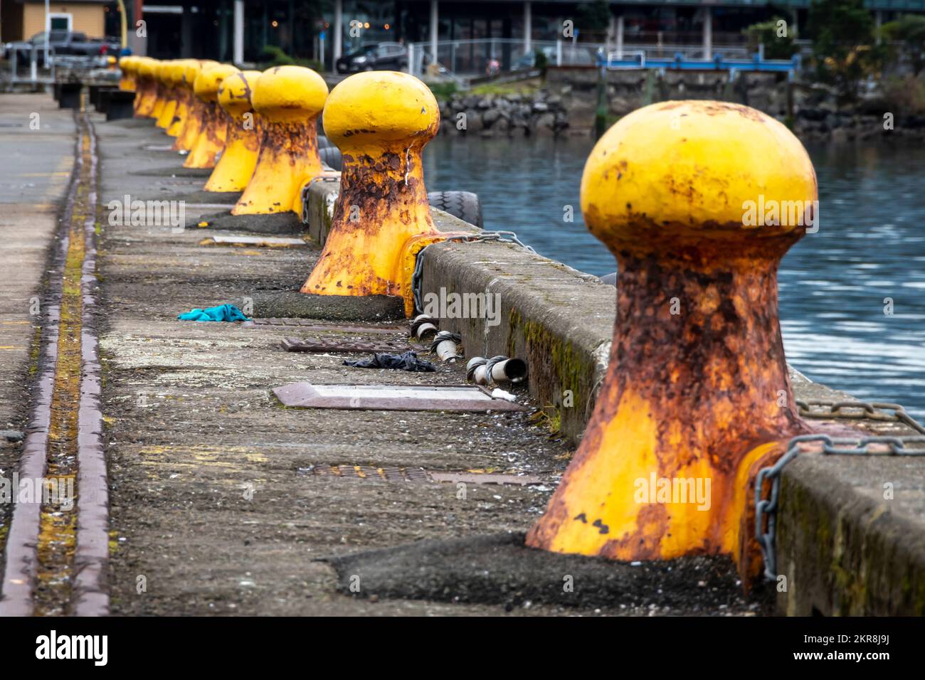 Gelbe Poller am Ufer, Wellington, Nordinsel, Neuseeland Stockfoto