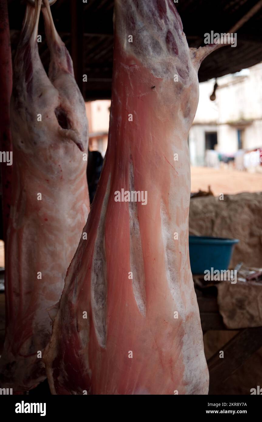 Hängende ganze Ziegenschlachtkörper für Mitchopo, Kamalondo, Lubumbashi, Republik Kongo. Stockfoto