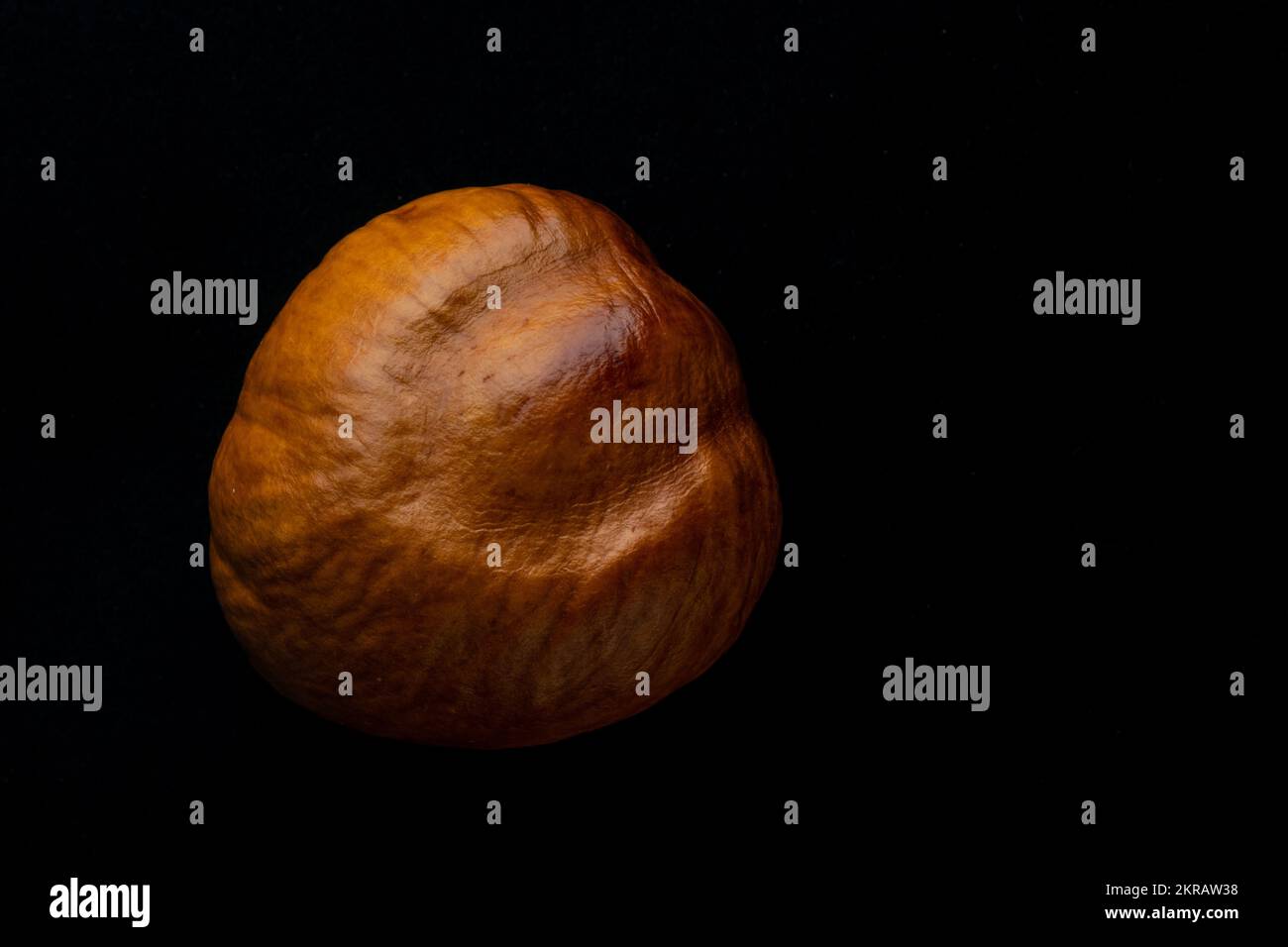 Ein Makrofoto einer Kastanie aus einem kalifornischen Buckeye (Aesculus californica) isoliert auf schwarzem Hintergrund. Stockfoto