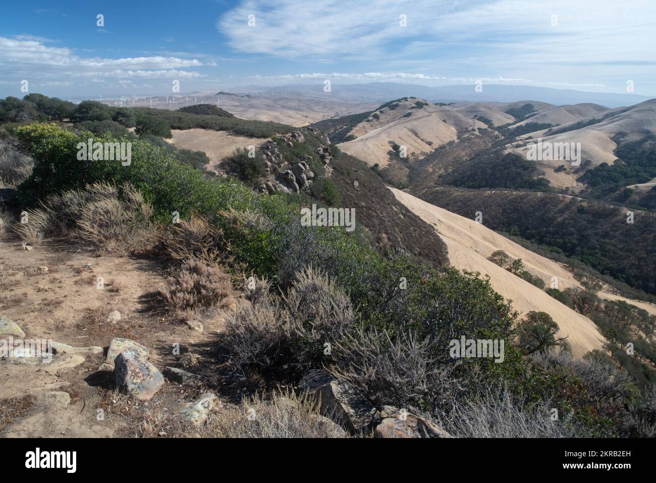 Hügel in der East Bay Region der San Francisco Bay im Morgan Territorium von Kalifornien, USA. Stockfoto