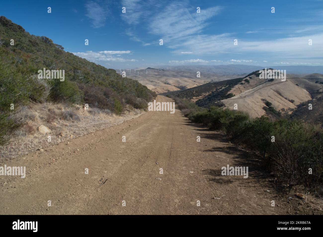 Hügel in der East Bay Region der San Francisco Bay im Morgan Territorium von Kalifornien, USA. Stockfoto